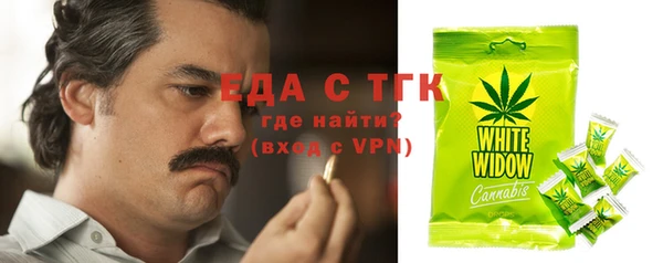 спиды Бородино